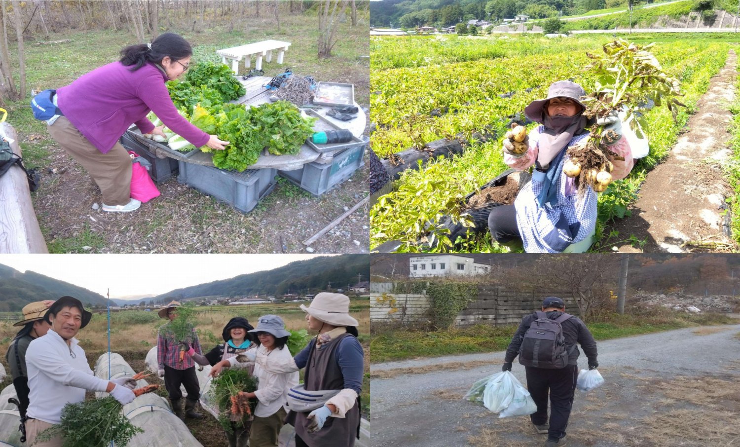 収穫写真_pages-to-jpg-0001_s