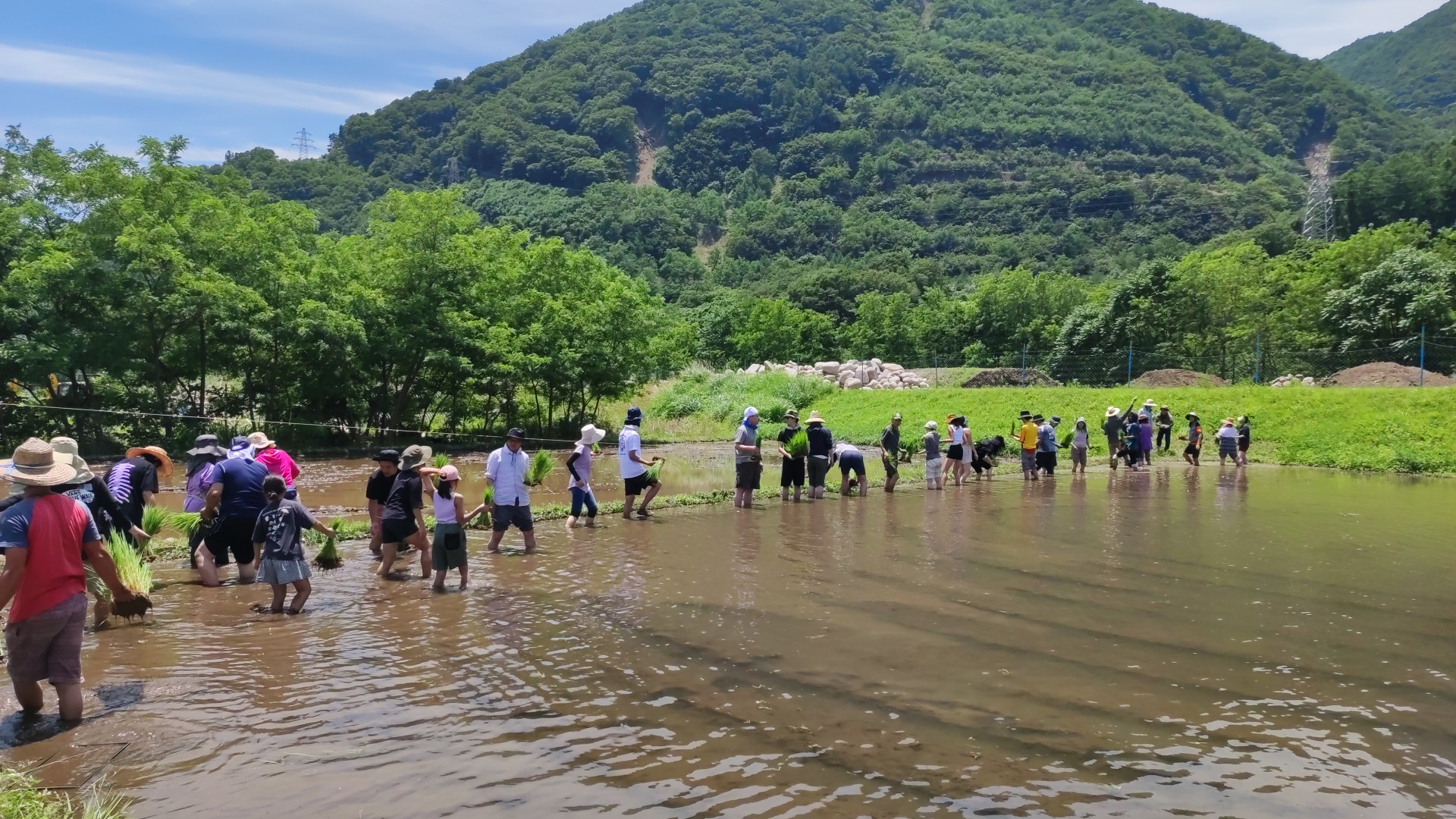 IMG_20250628_112916 (1)